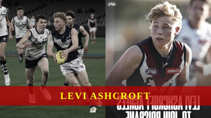 Levi Ashcroft Wiki