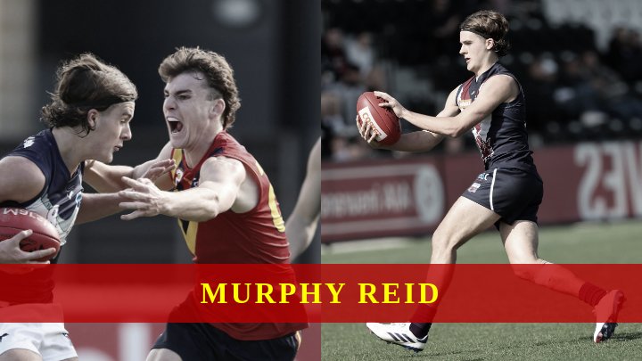 Murphy Reid Highlights